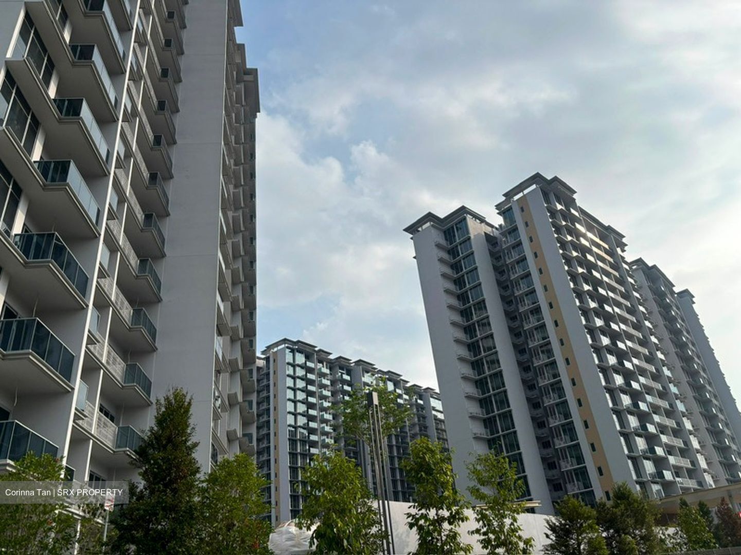 Dunman Road (D15), Condominium #612076541